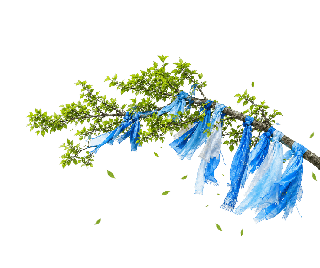 background flower image