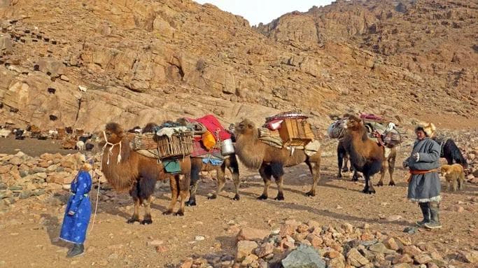 camel caravan