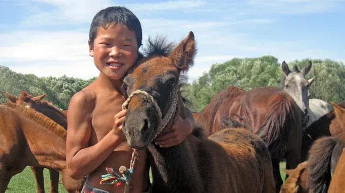 learn mongolian horse culture