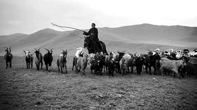 8 Things To Do While Staying With Nomadic Family