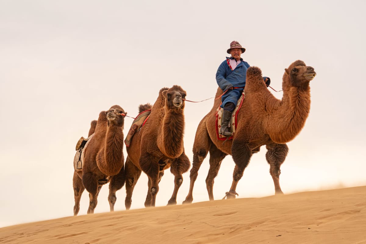 WHY TRAVEL WITH US?
