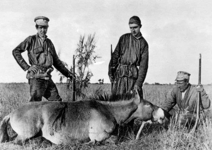 Grigory and Michael Grum-Grzhimailo in the Dzungarian Basin
