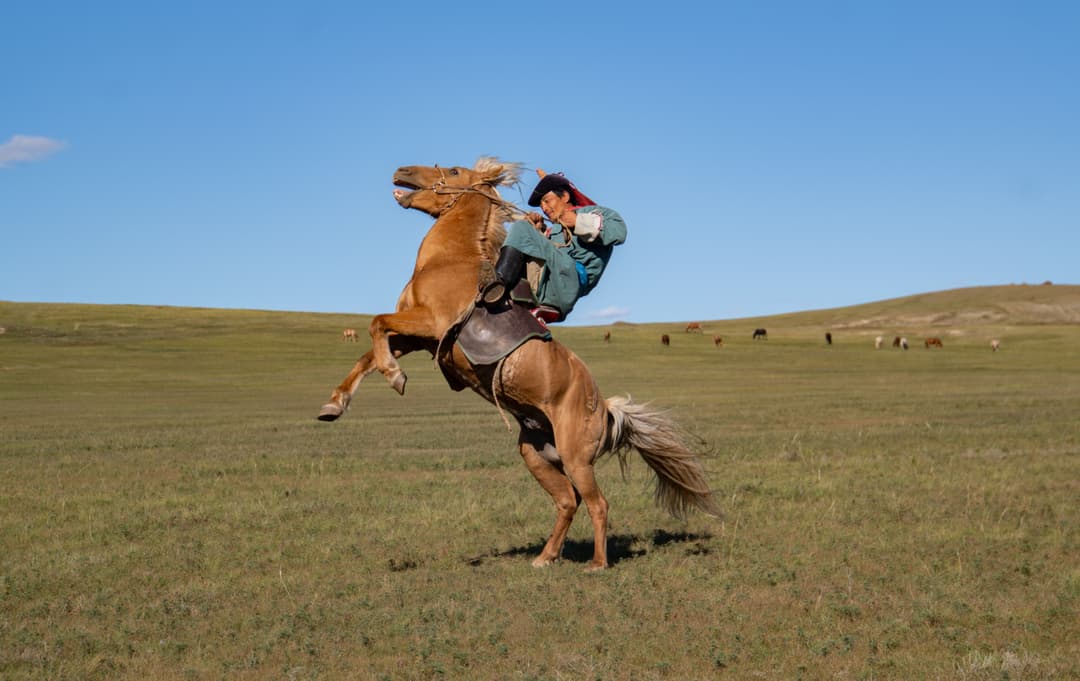 Hold on tight