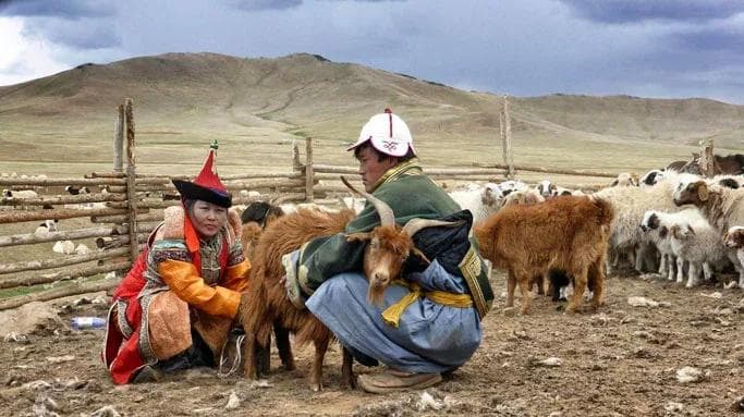 mongol nomadic