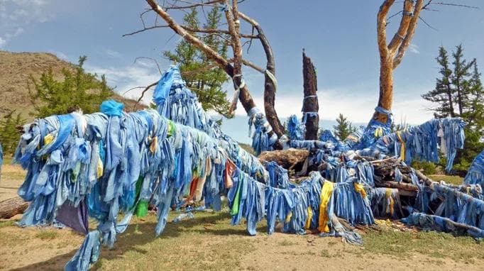 mongolian shaman offering tree