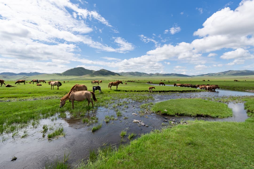 Mongolia